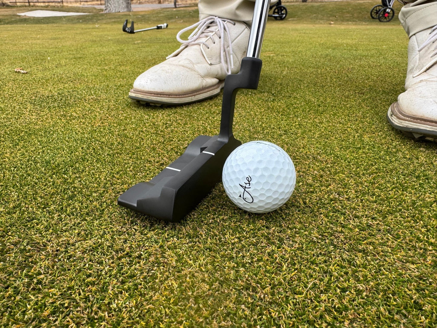 Ase Golf AG1 Blade Putter - ANKSO®