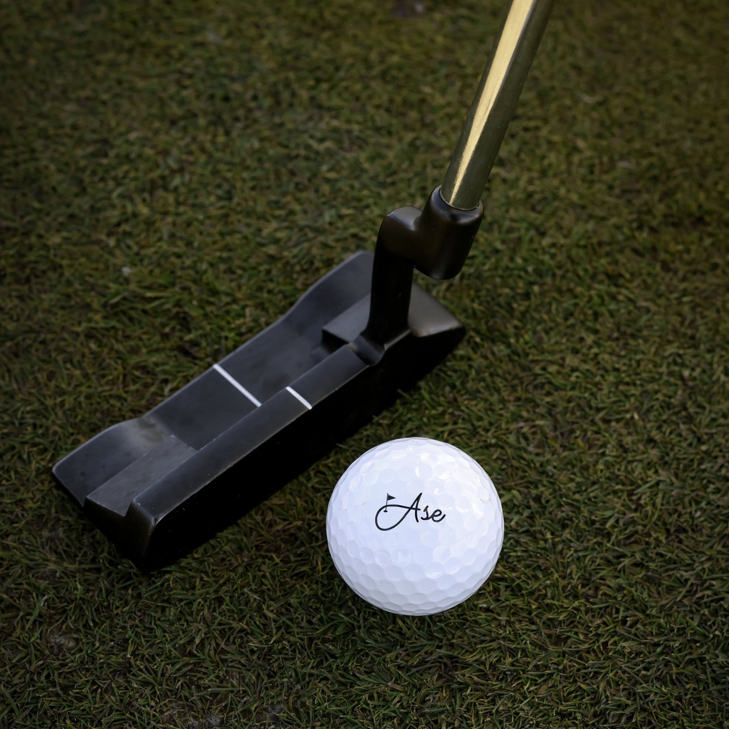 Ase Pure+ Golf Ball - ANKSO®