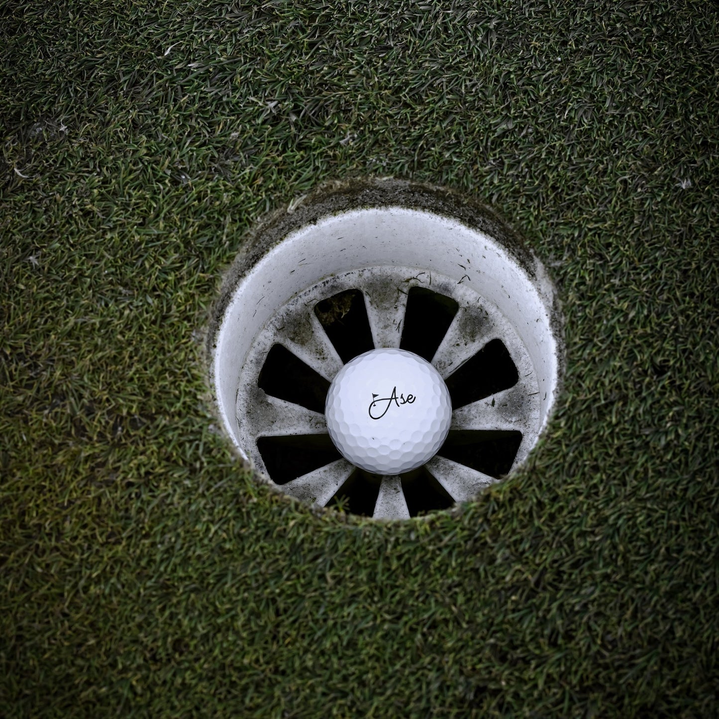 Ase Pure+ Golf Ball - ANKSO®