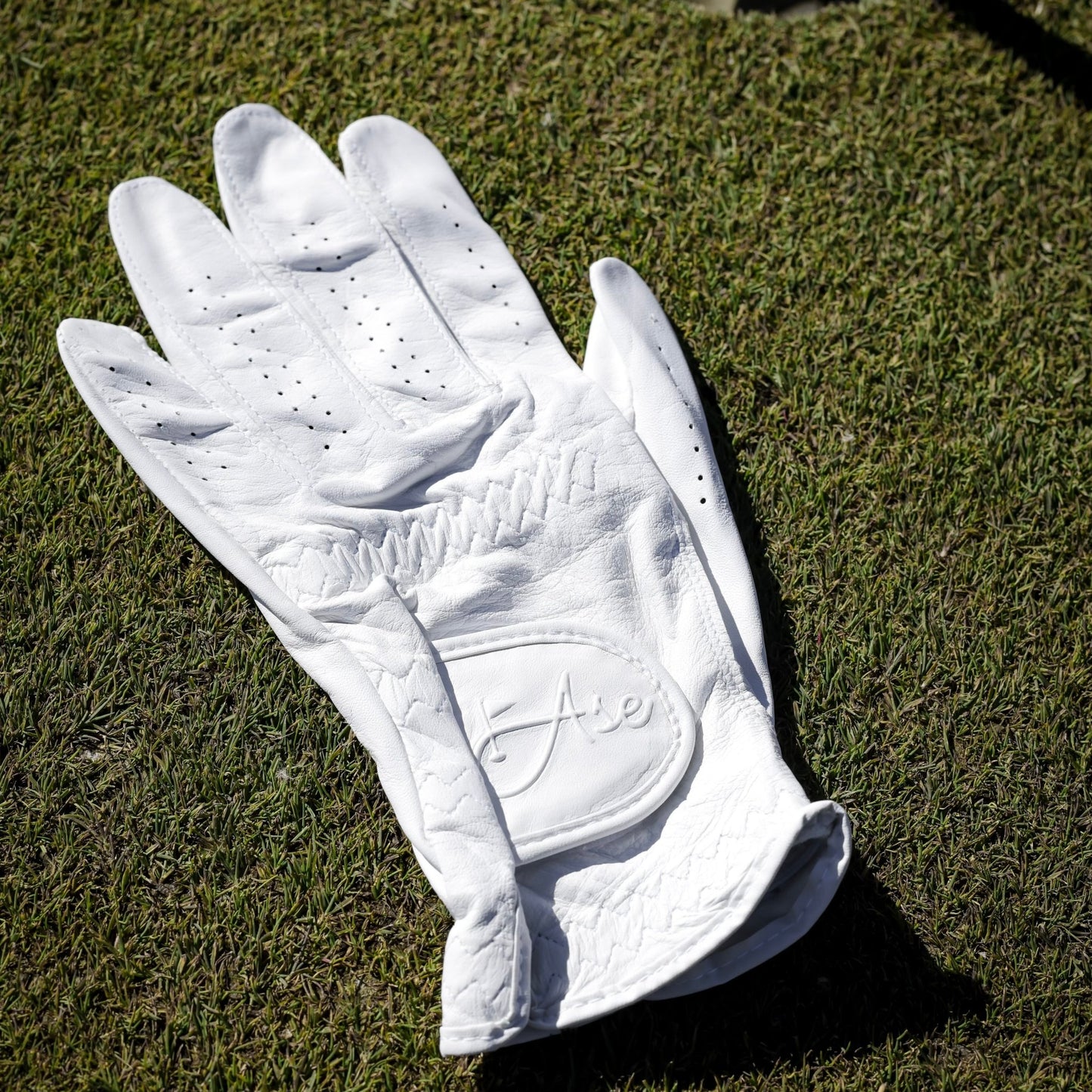 Ase PureGrip Golf Glove - ANKSO®