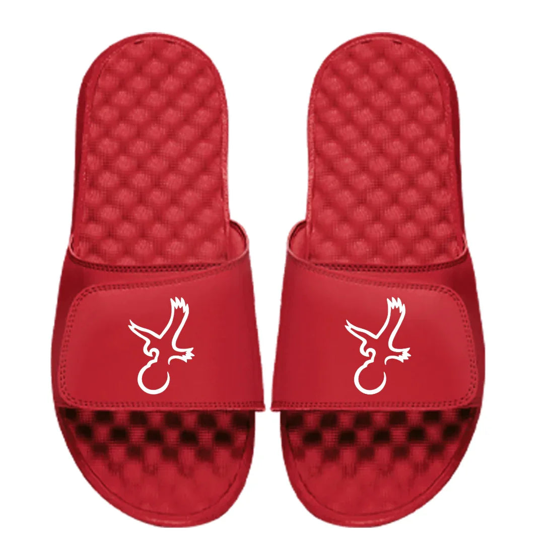 Talon Eagle Slides - ANKSO